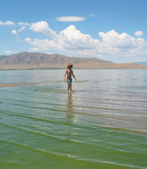 Furnished efficiency apartments in Provo