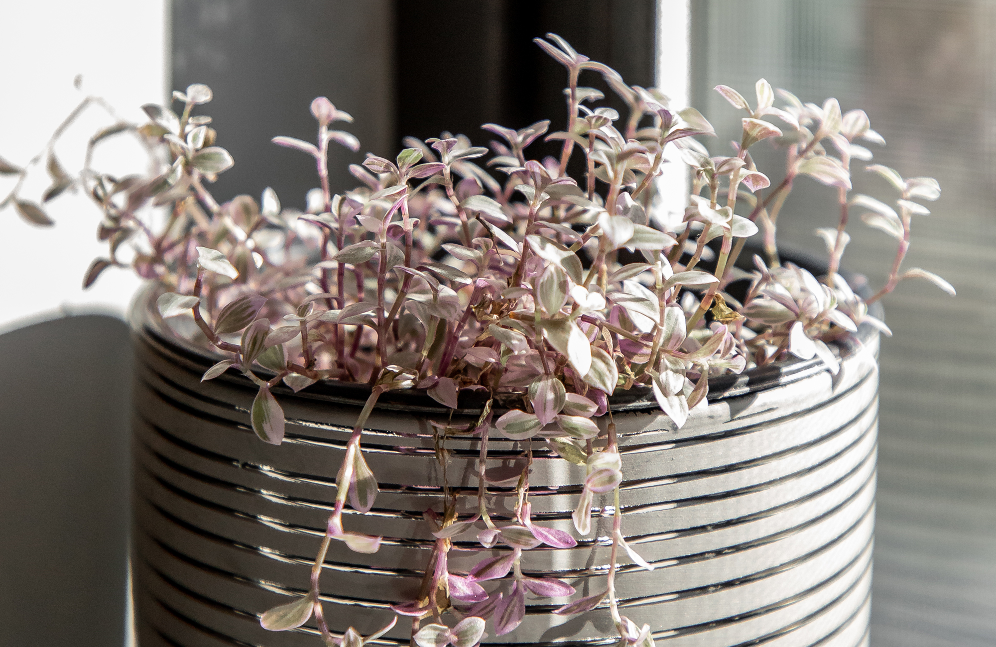 2-bedroom Vacation Rental in Provo